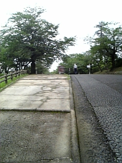 f0031420_7334932.jpg