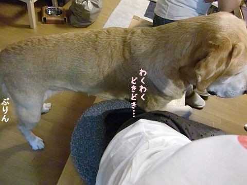 c0087521_2152307.jpg
