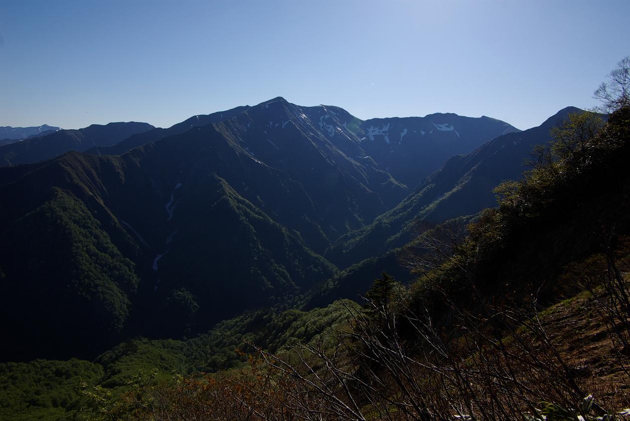 b0062024_815392.jpg