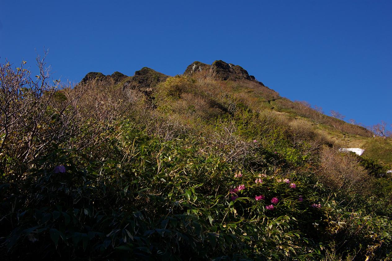 b0062024_8174778.jpg