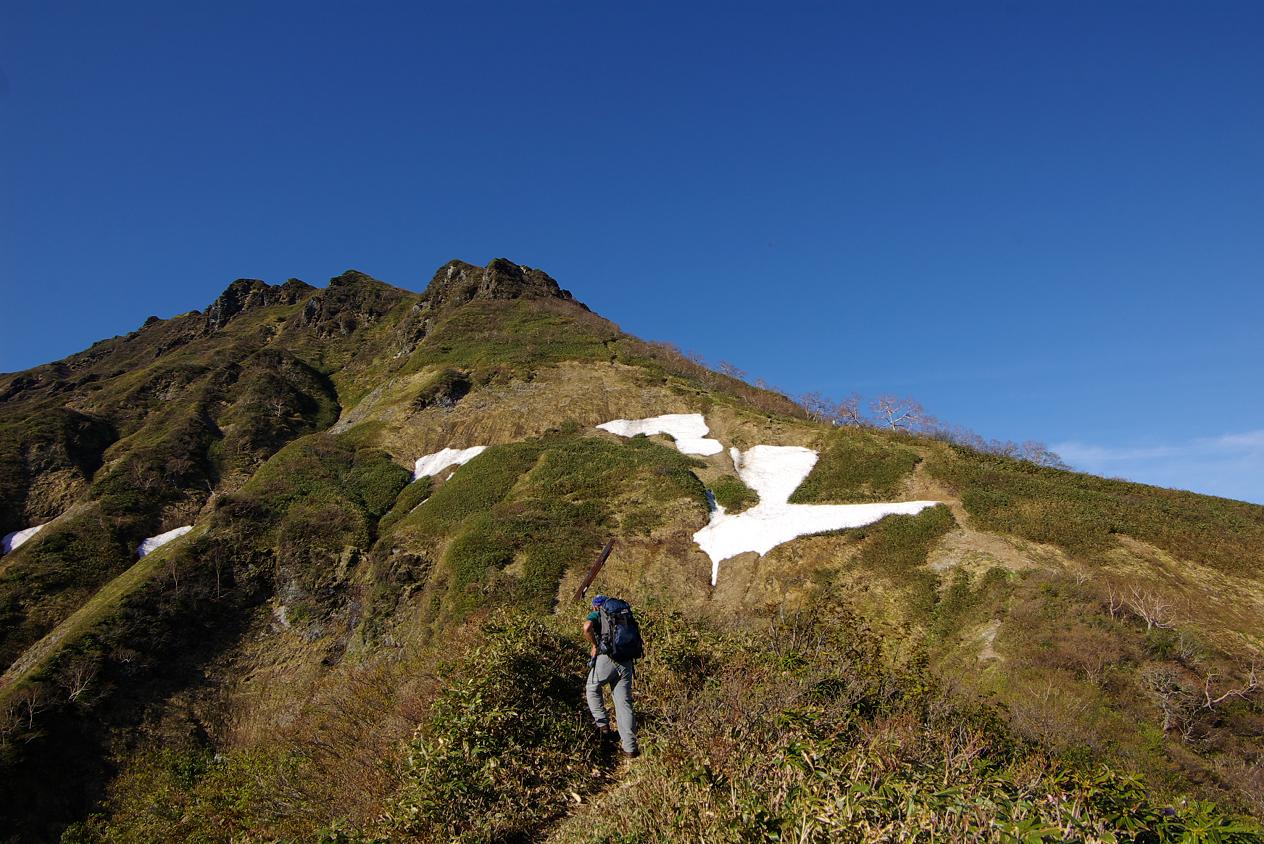 b0062024_823629.jpg