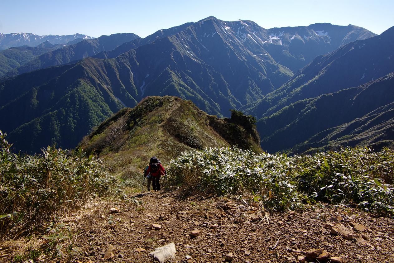 b0062024_825477.jpg