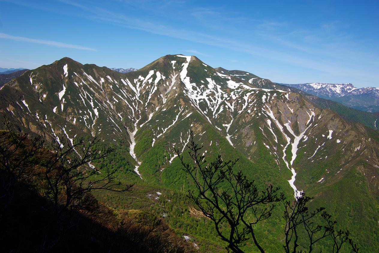 b0062024_837442.jpg