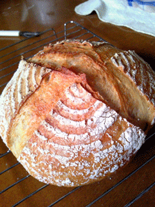 c0221827_13224062.gif