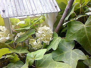 c0212929_1030896.jpg