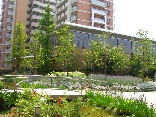c0147830_16252681.jpg