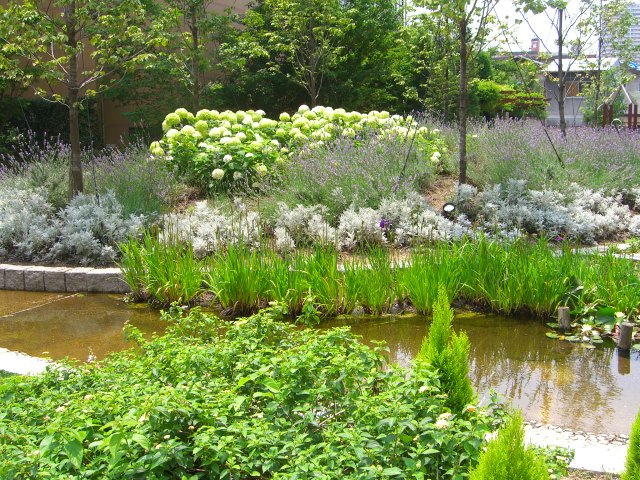 c0147830_16254694.jpg
