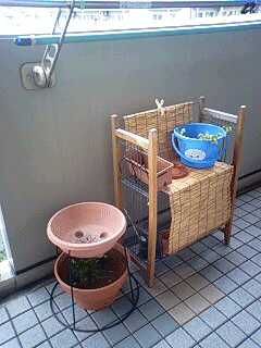 d0048332_1104465.gif