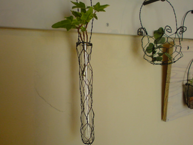 f0215833_2058621.jpg
