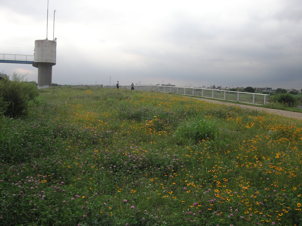 d0013834_19473276.jpg