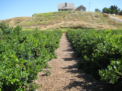 c0137235_915027.jpg