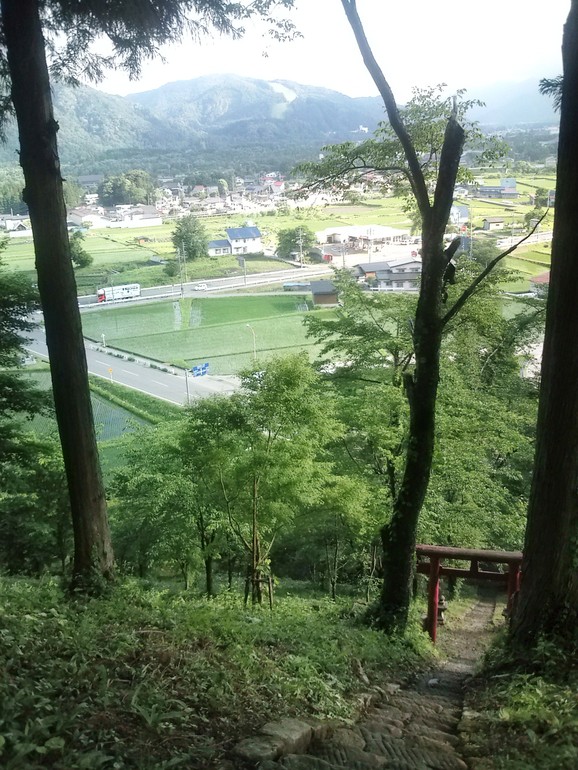 c0210838_252682.jpg