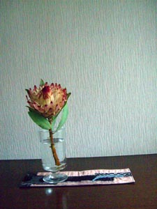e0110940_10595862.jpg