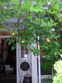 e0110940_1111553.jpg