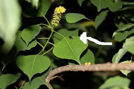 a0132041_2035186.jpg
