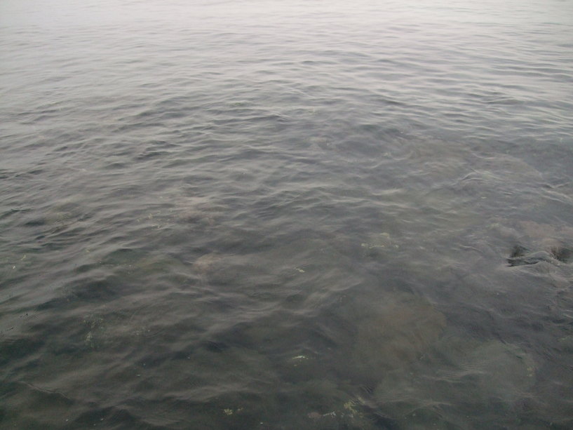 c0019951_20434059.jpg