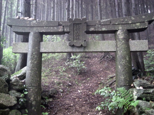c0179351_21324816.jpg