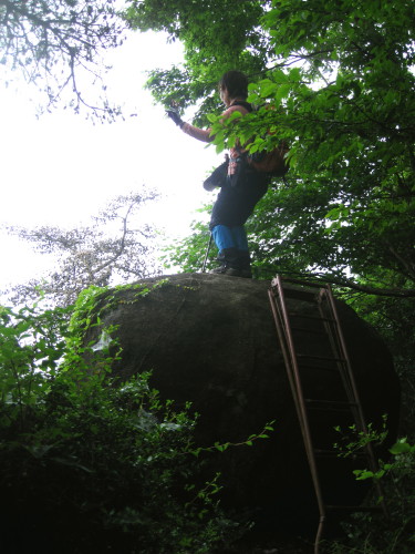 c0179351_21334528.jpg