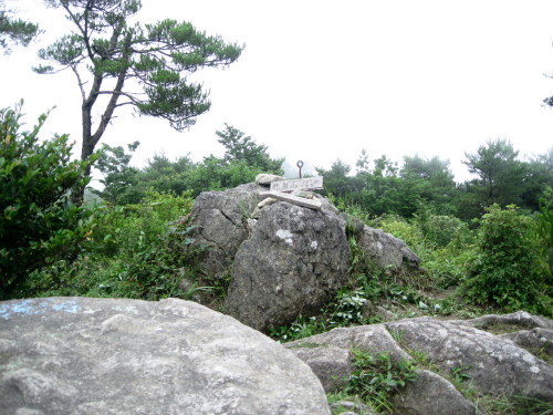 c0179351_2138543.jpg