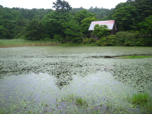 c0179351_21434680.jpg