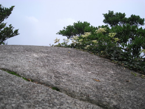 c0179351_21492834.jpg