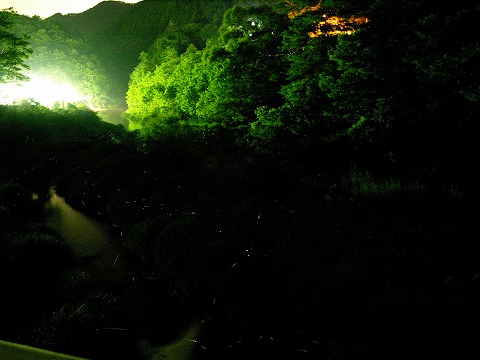 b0100253_17293536.jpg