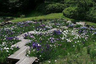 c0208355_14561111.jpg