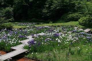 c0208355_14562142.jpg