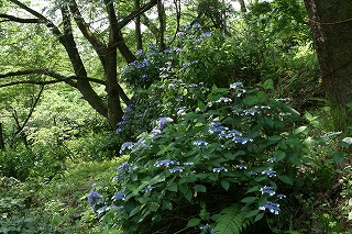 c0208355_14583815.jpg