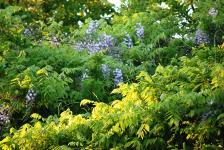b0086858_13303823.jpg
