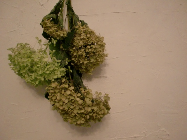 c0172261_23241432.jpg