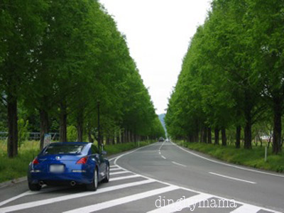 c0117570_16234695.jpg