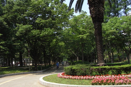 f0029271_10275030.jpg