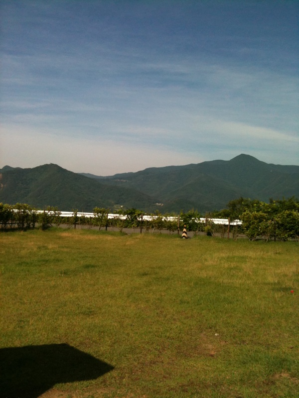 c0112286_8502692.jpg