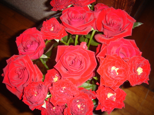 f0138588_1085430.jpg