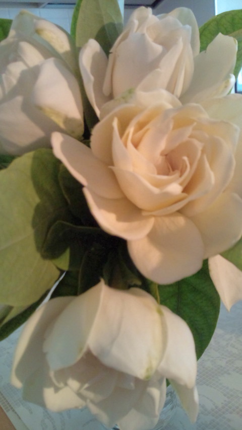c0036690_14372950.jpg