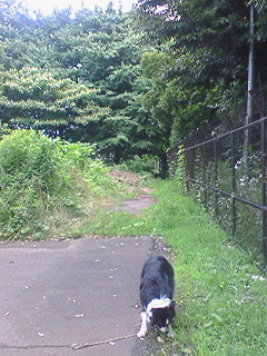 a0065800_9391613.jpg