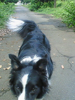 a0065800_940451.jpg