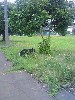 a0065800_9411078.jpg