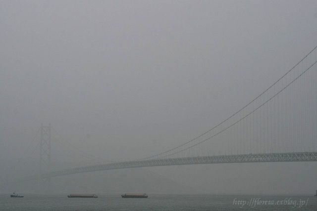 f0083400_22432315.jpg