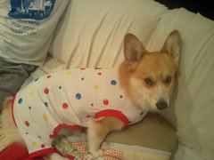 c0126703_15544697.jpg