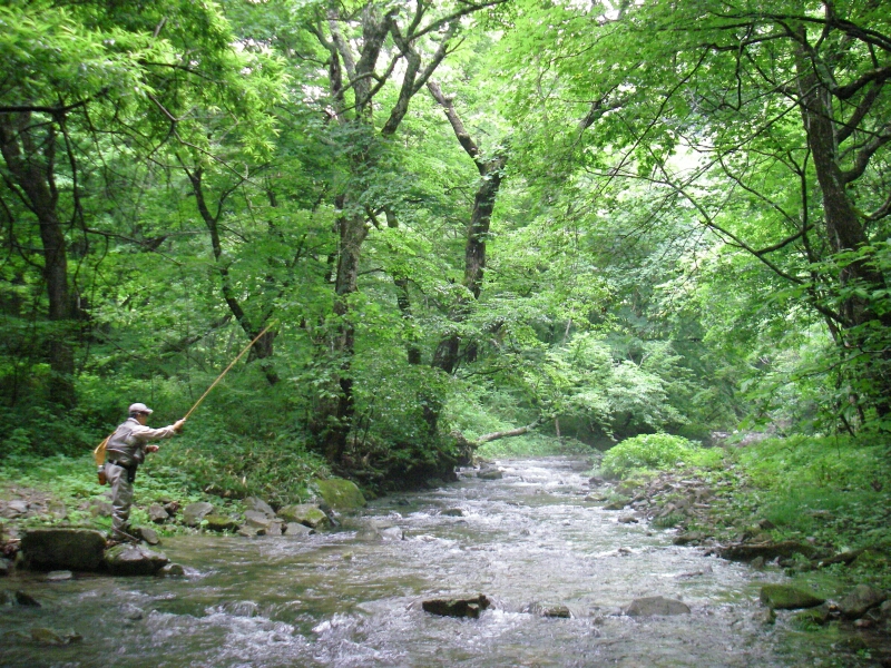 b0172805_7332650.jpg