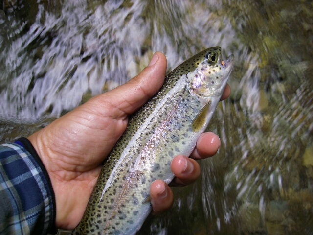 b0172805_7341980.jpg