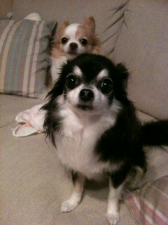 c0162005_13214939.jpg