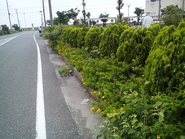 a0142107_18272899.jpg