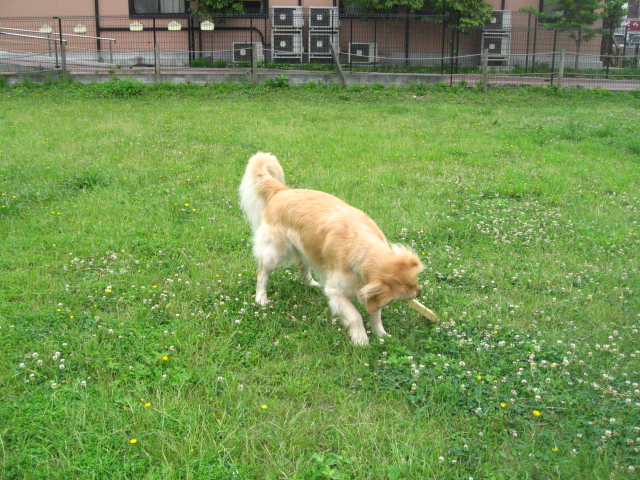 d0150309_2020368.jpg