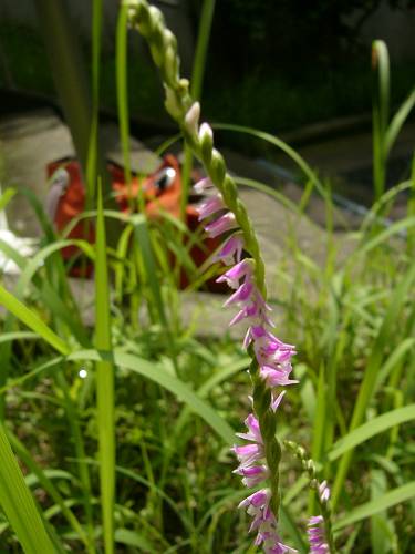 f0167310_8135082.jpg