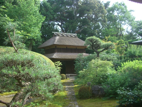 d0007913_1744403.jpg