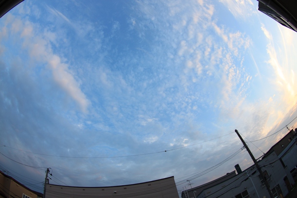 a0109914_2233988.jpg