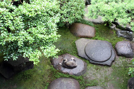 e0156015_1773136.jpg